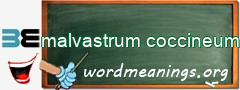 WordMeaning blackboard for malvastrum coccineum